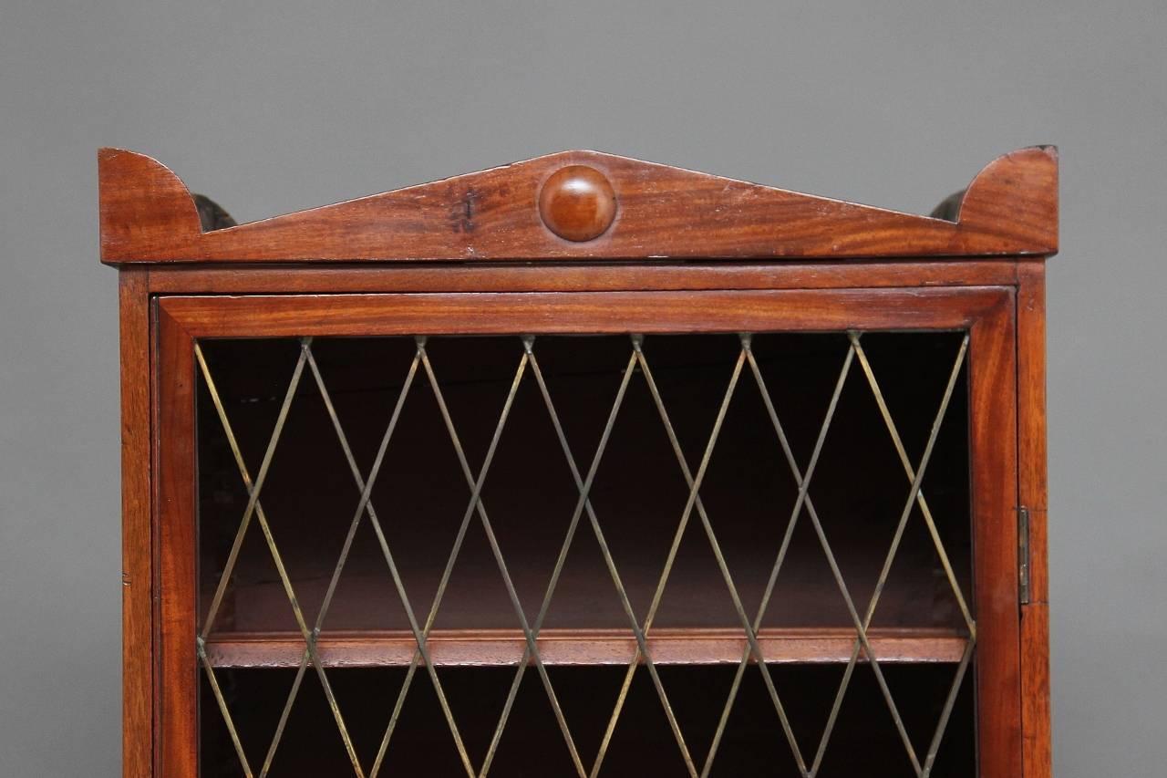 Mid-19th Century 19th Century Mahogany Collectors Cabinet