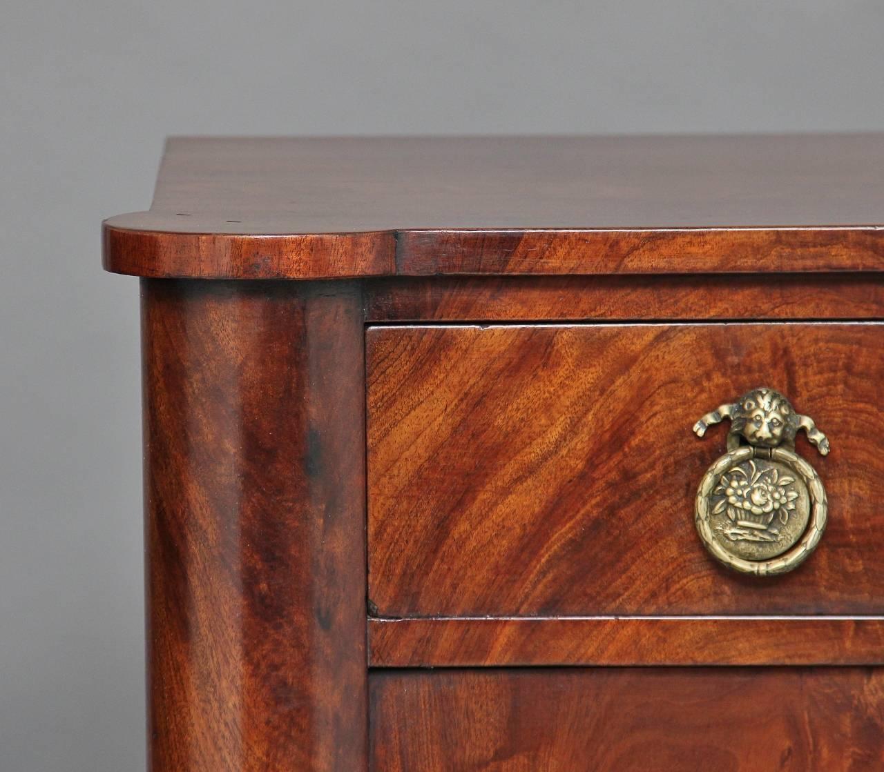 19th Century French Mahogany Cabinet 3