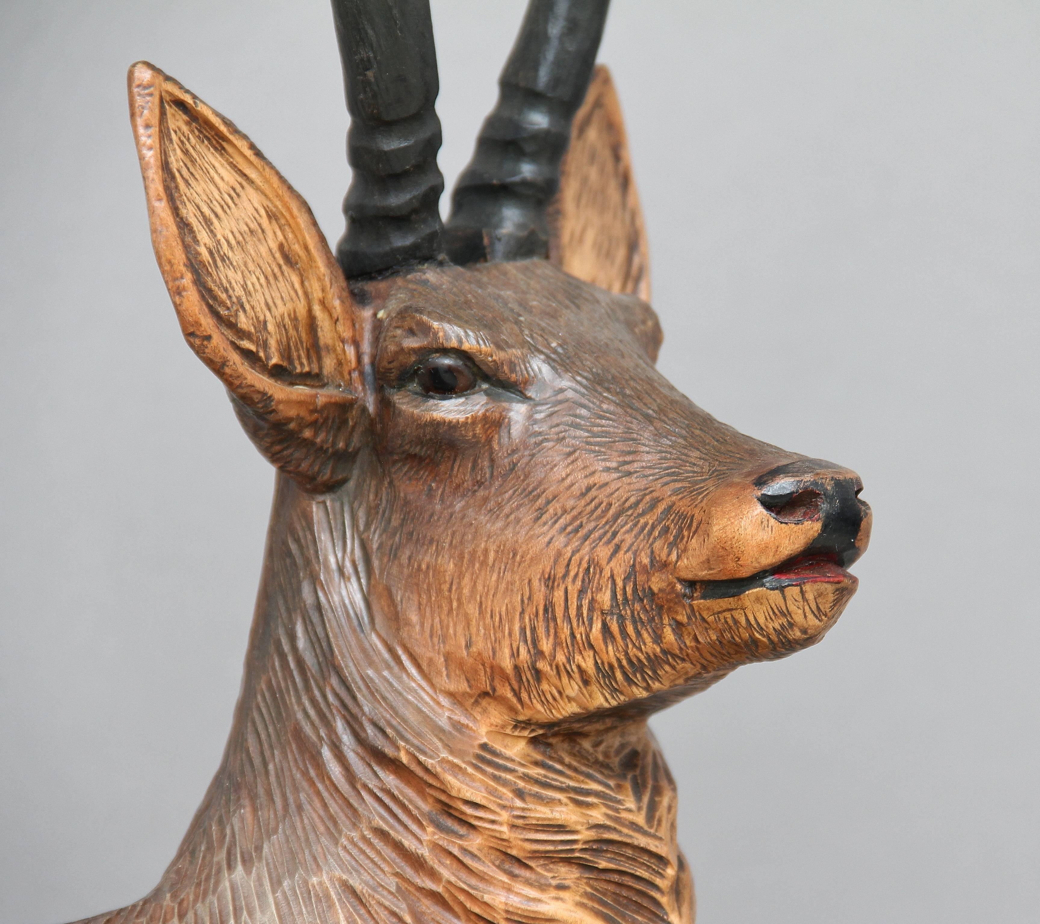 19th Century Black Forest Carving of an Ibex 4