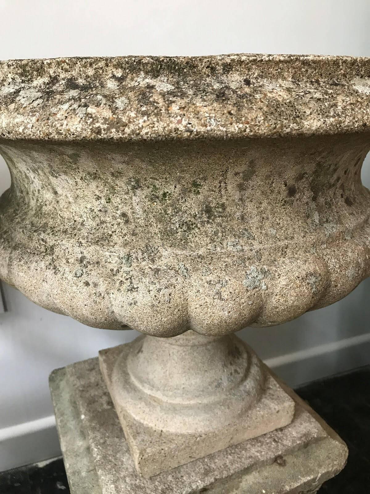 Pair of Urns In Excellent Condition For Sale In Sandgate, GB