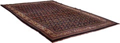 Antique Tulip Design Bidjar Rug