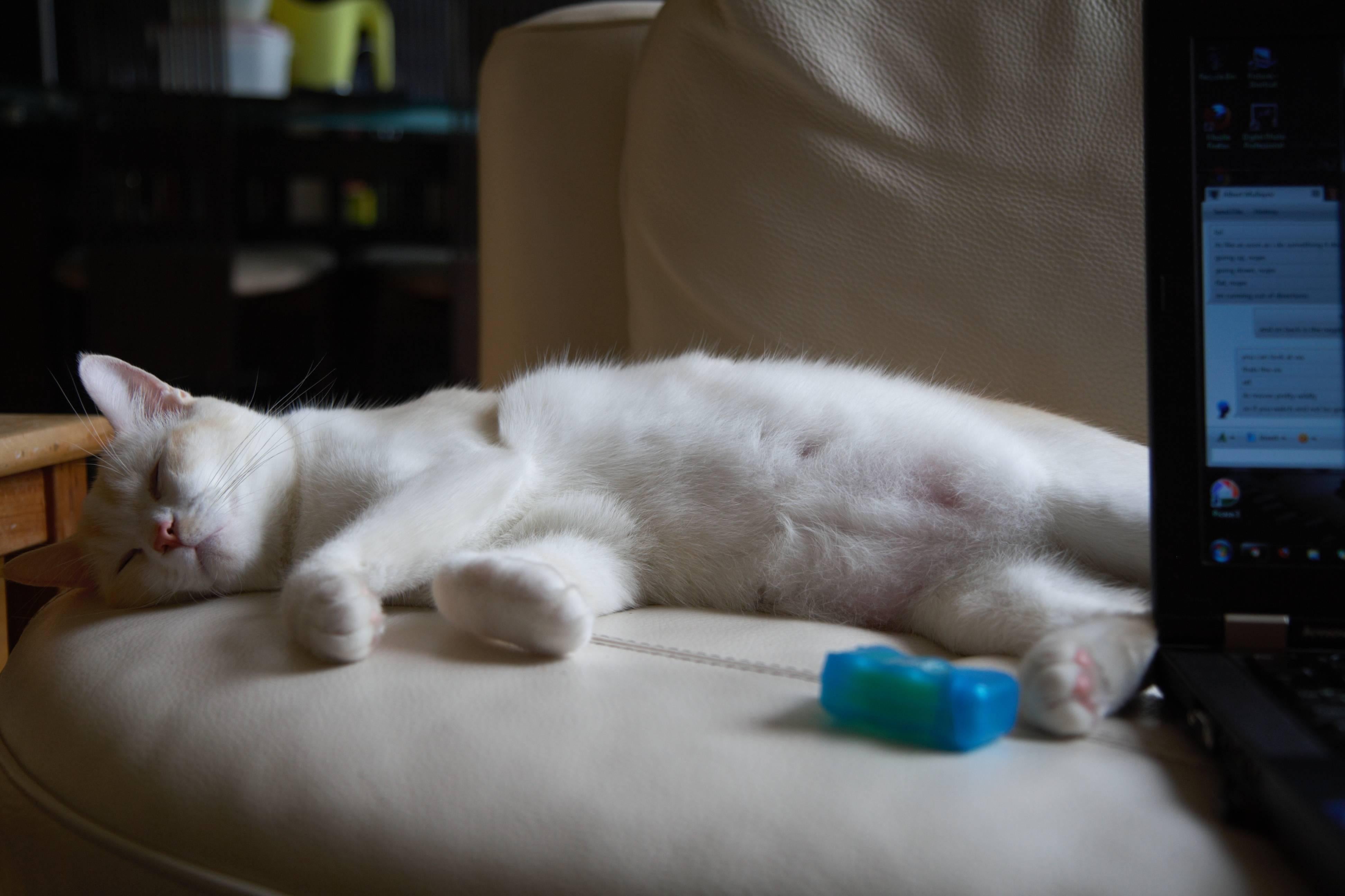 set qty item For Sale