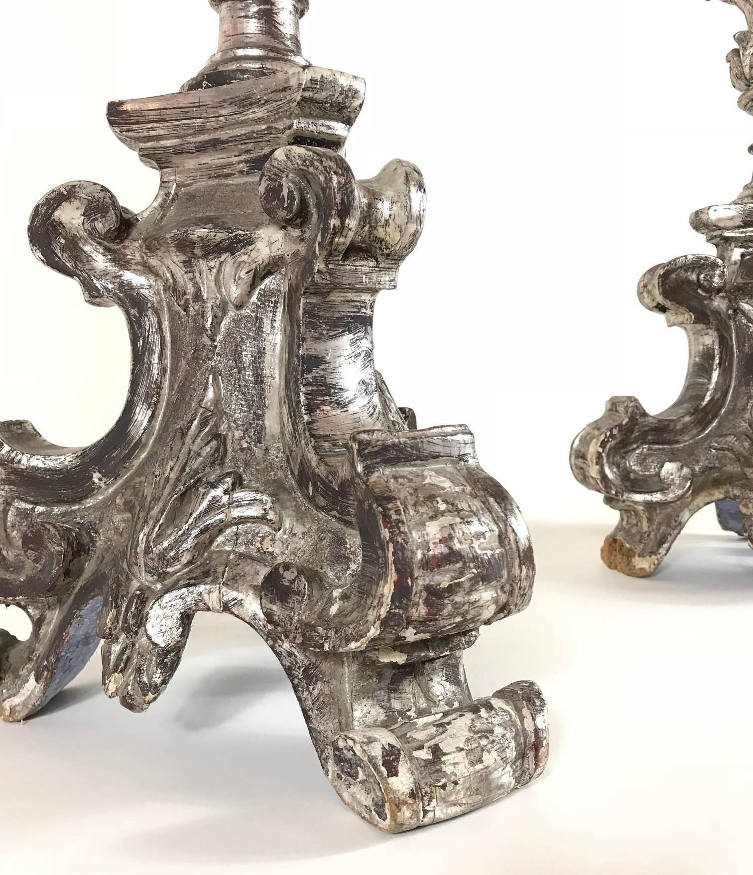 Italian Hand-Carved Baroque Silver Giltwood Candlesticks, 17th Century Italy