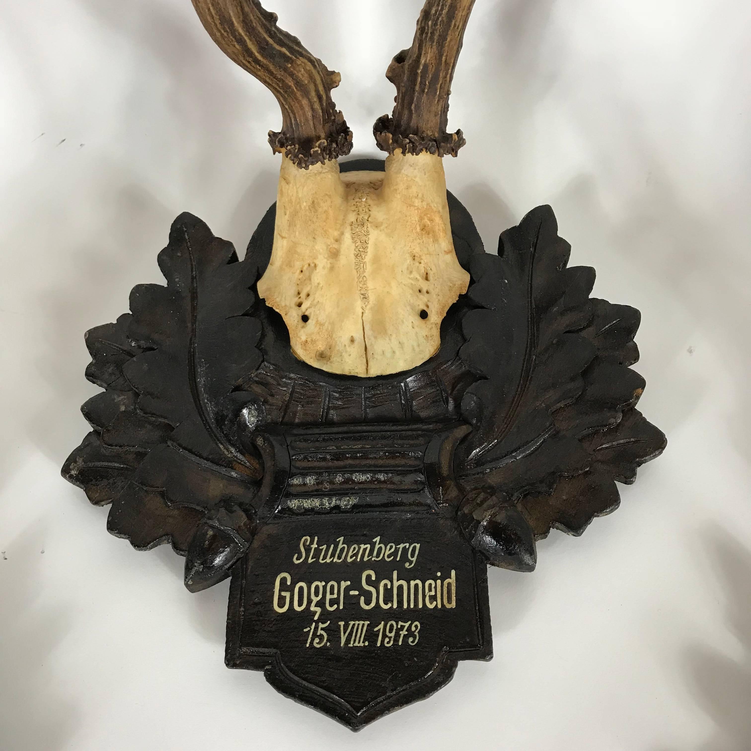 Collection of Four Alps Deer Antler Mounts on Hand-Carved Wood Plaques, Austria In Good Condition In Biebergemund, Hessen