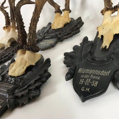 Collection of Four Alps Deer Antler Mounts on Hand-Carved Wood Plaques, Austria