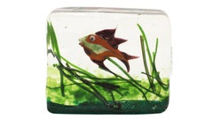 Aquarium Glass Cenedese Murano Paperweight Fish by Ricardo Licata
