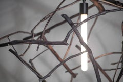 Pendant Light in Hand Collected Ocean Washed Branches by Hinterland Design