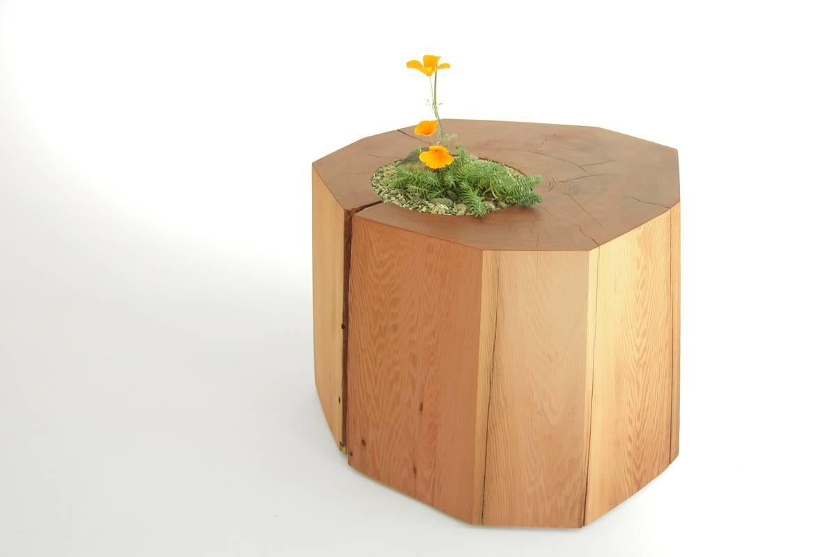 These western red Cedar Nurselog side tables are dual-purpose, bringing a touch of the forest into your home. Mimicking rain forest stumps that grow mosses and ferns from their tops, a round recycled glass insert allows a small arrangement of plants