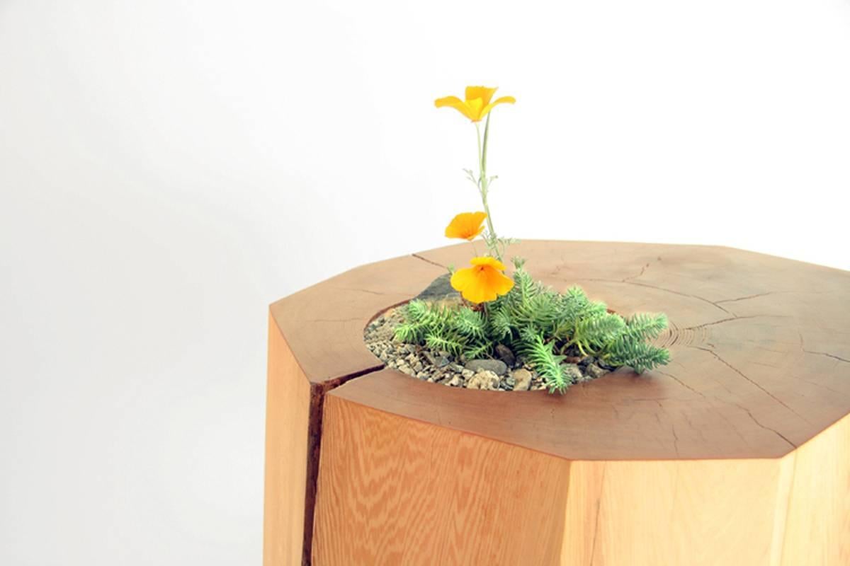 Glass Table in Natural Red Cedar with Planter Insert by Hinterland Design For Sale
