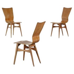3 Chairs  in Curved Wood Fratelli Lippi Marked  Mid-Century Modern