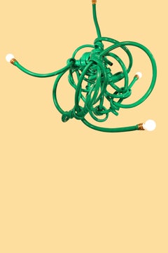 Garden Hose Chandelier Style Lighting Fixture by Justin Cooper Studios