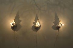 Horse Conch Seashell Sconce Lighting