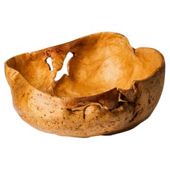 Massive Sculptural Birch Root Bowl, Finland, 1940s