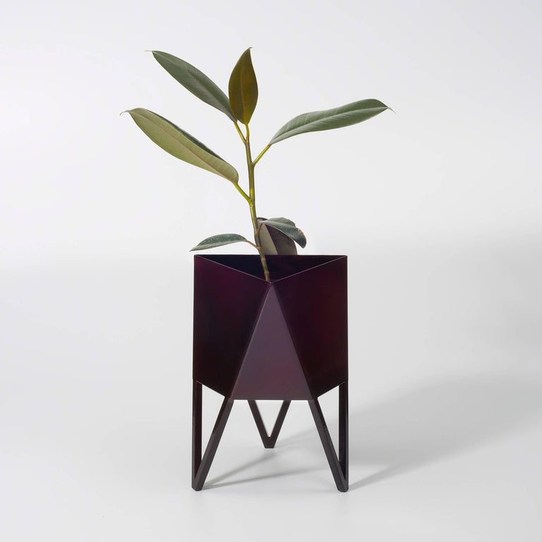 Contemporary Deca Planter in Pastel Green Steel, Medium, by Force/Collide