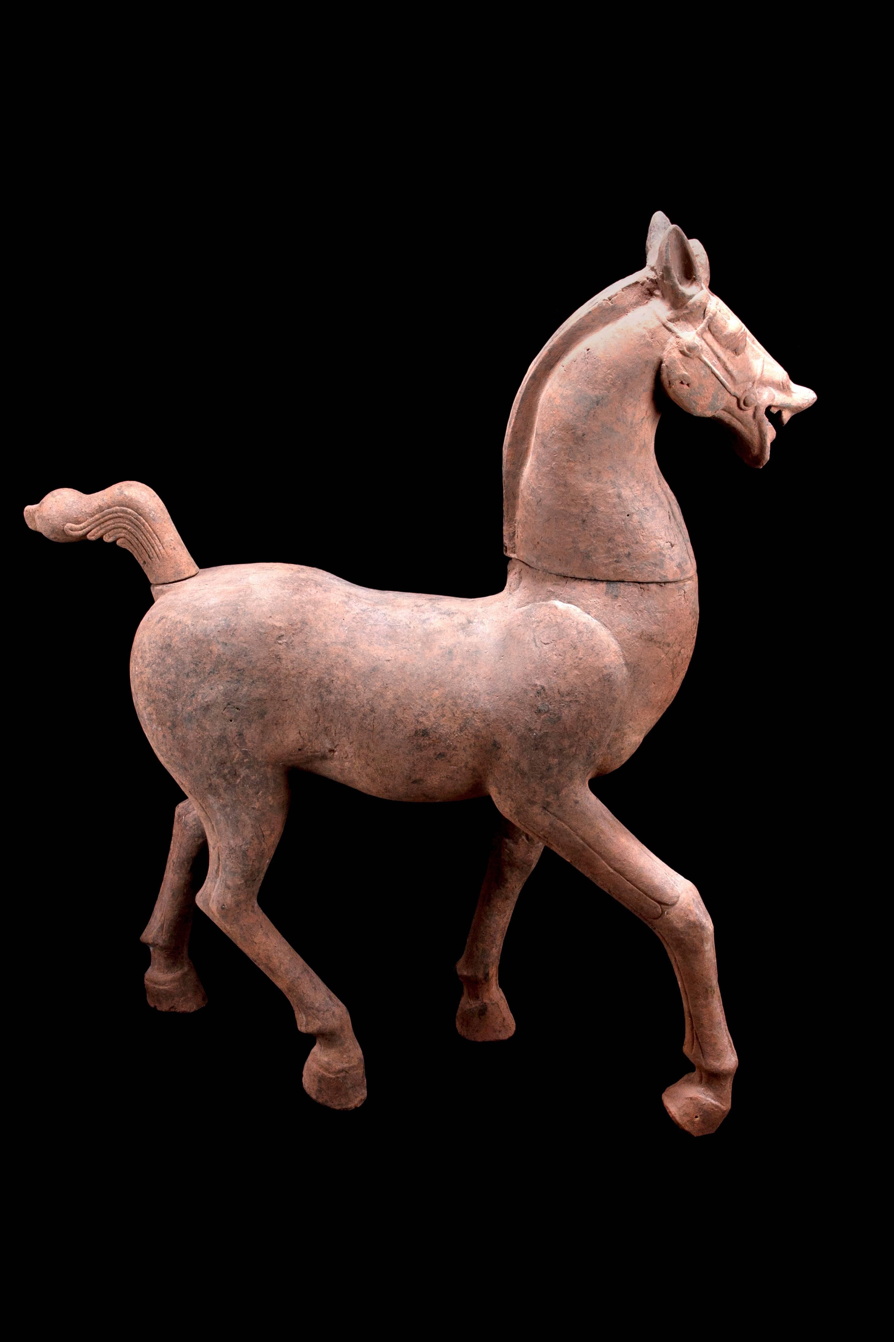 Chinese Monumental Han Dynasty Terracotta Horse - TL Tested - China, '206 BC–220 AD' For Sale