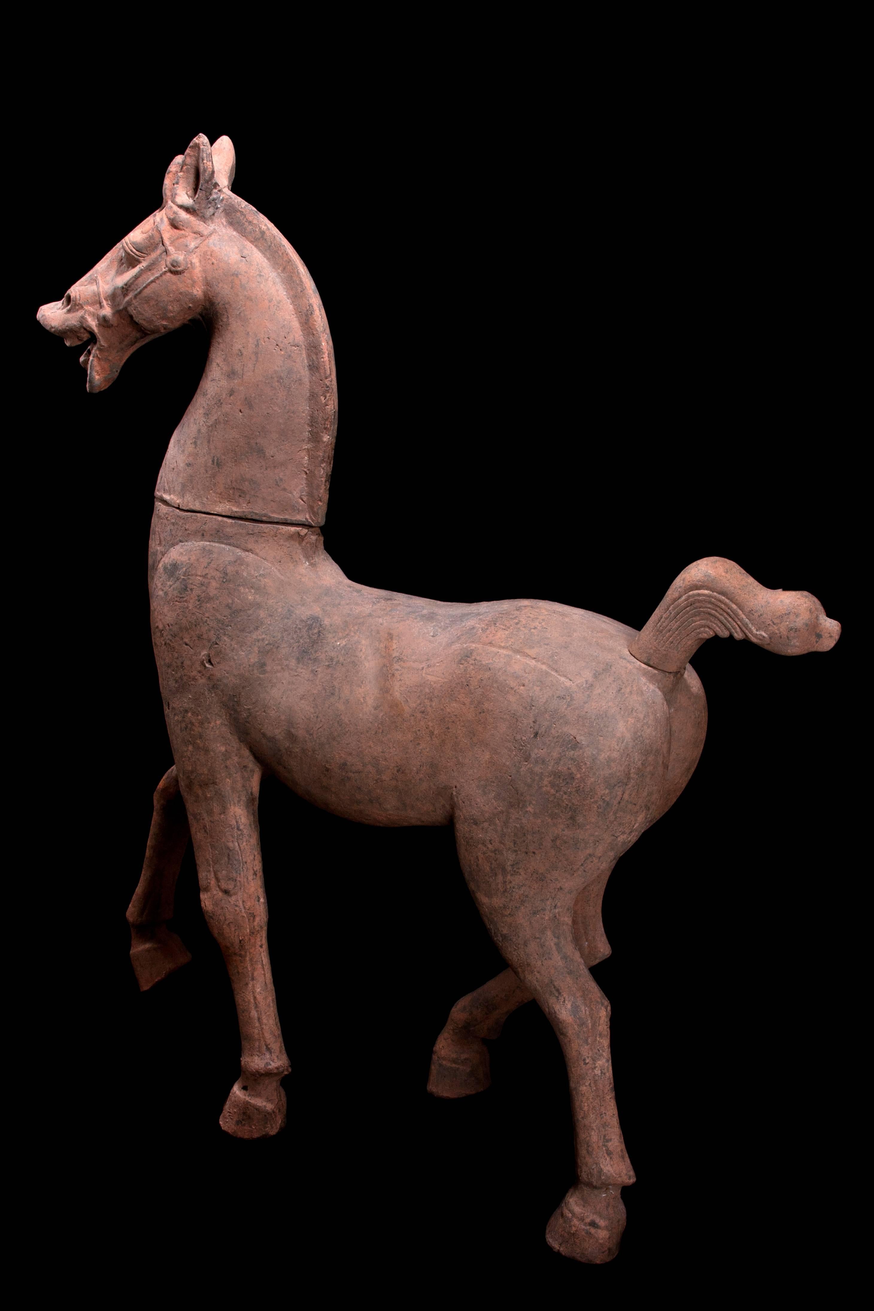 Monumentales Terrakotta-Pferd aus der Han Dynasty - TL-geprüft - China, '206 v. Chr. - 220 n. Chr.'. im Angebot 4
