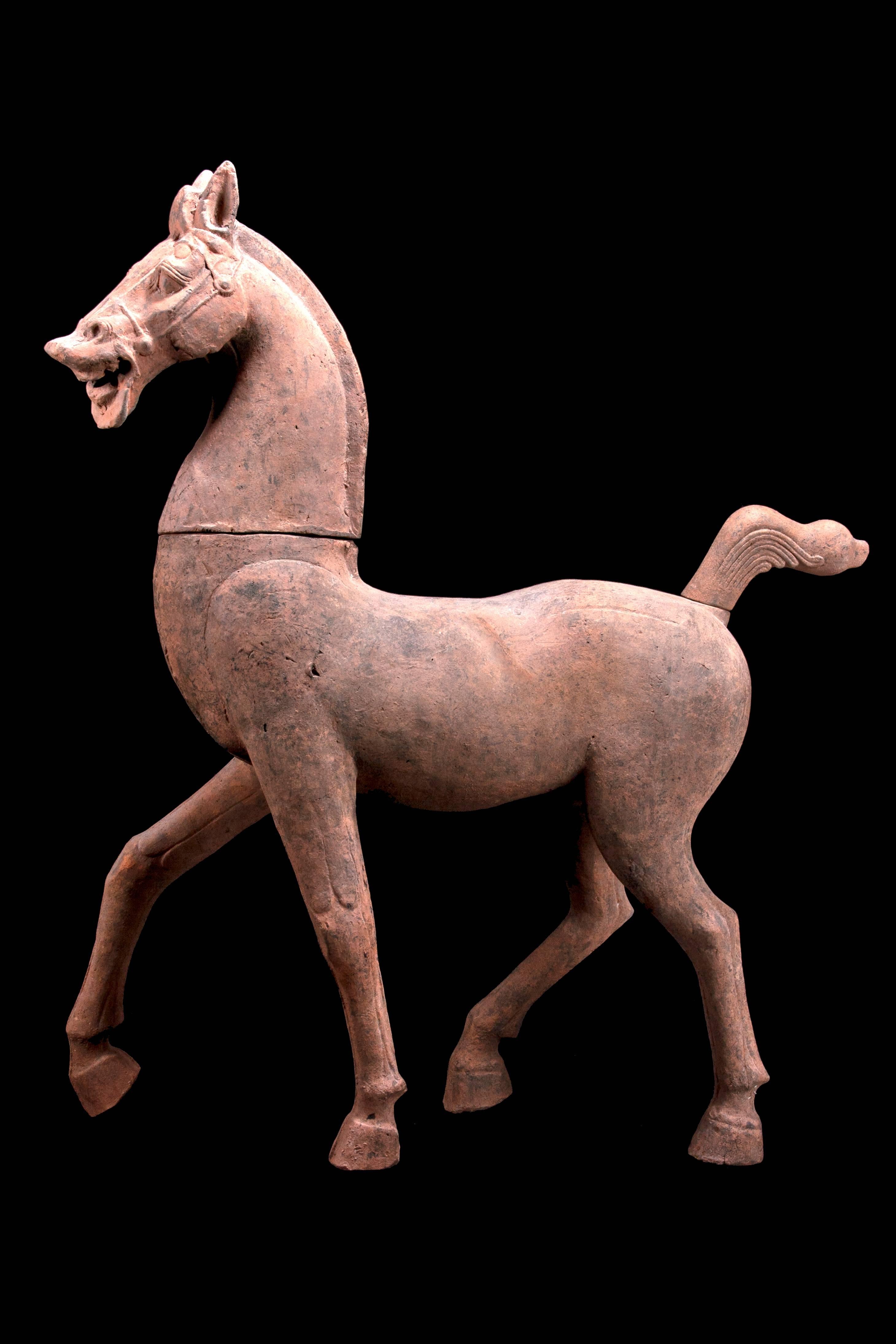 Monumental Han Dynasty Terracotta Horse - TL Tested - China, '206 BC–220 AD' In Excellent Condition For Sale In San Pedro Garza Garcia, Nuevo Leon