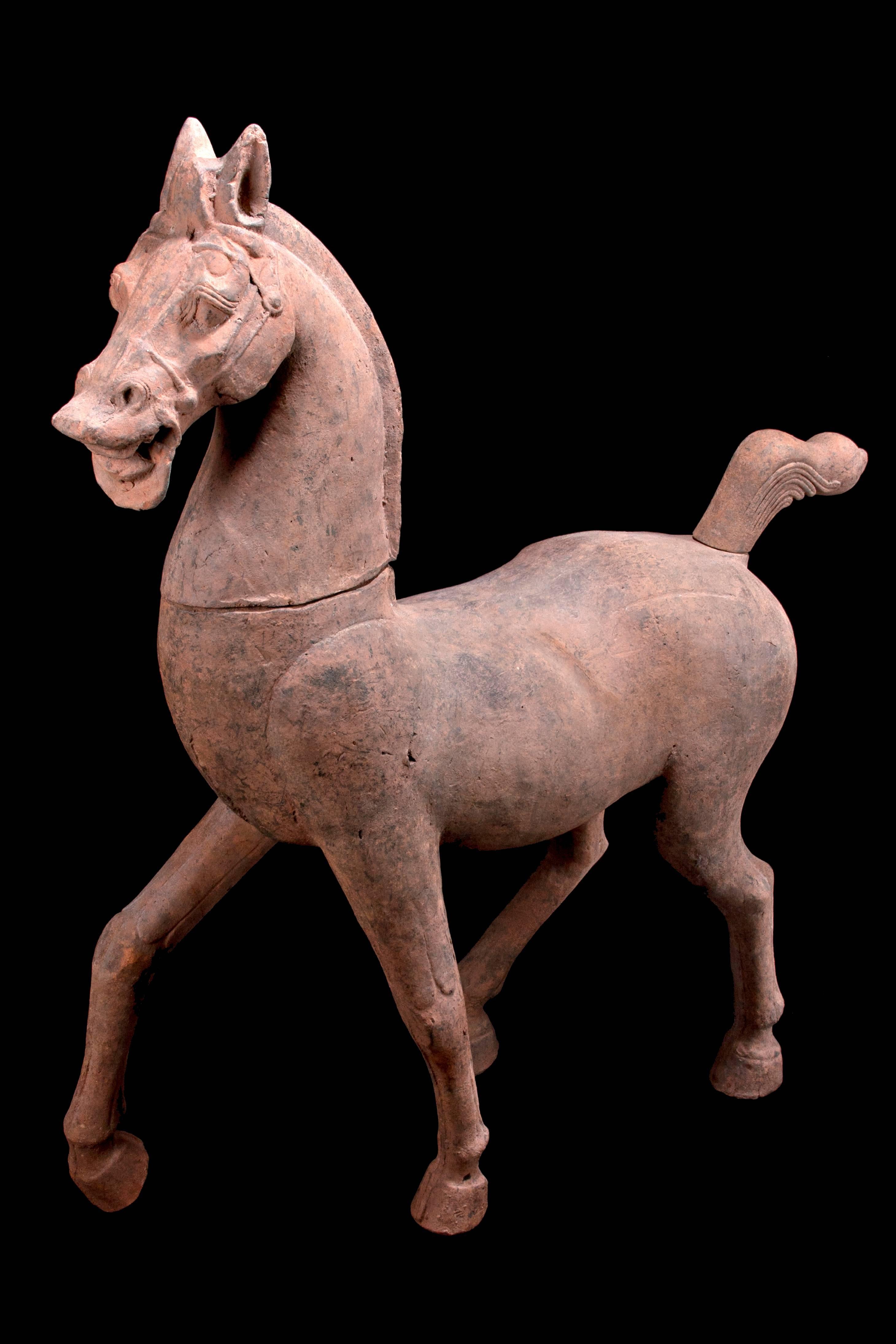 Monumentales Terrakotta-Pferd aus der Han Dynasty - TL-geprüft - China, '206 v. Chr. - 220 n. Chr.'. im Angebot 3