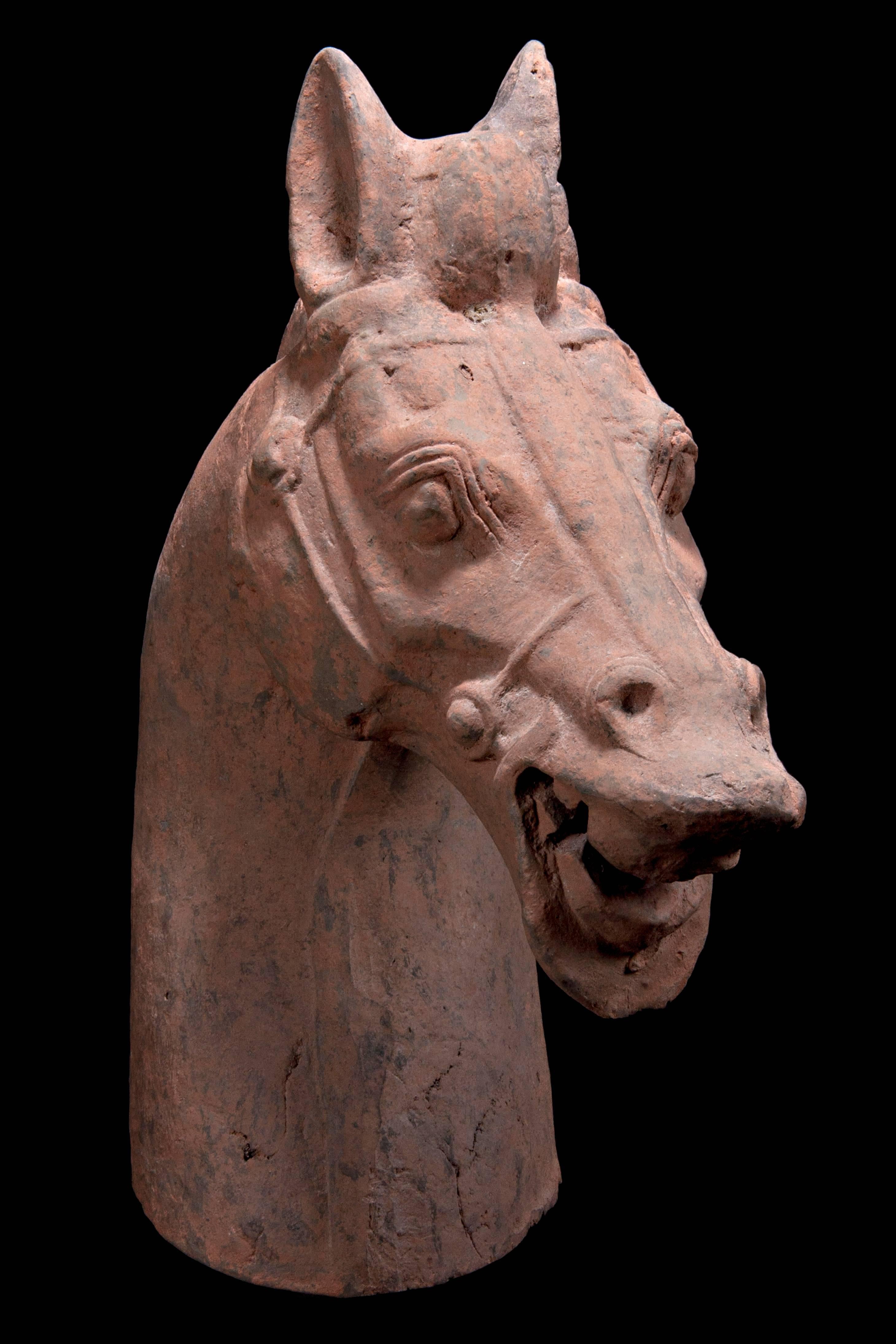 Monumentales Terrakotta-Pferd aus der Han Dynasty - TL-geprüft - China, '206 v. Chr. - 220 n. Chr.'. (Chinesisch) im Angebot