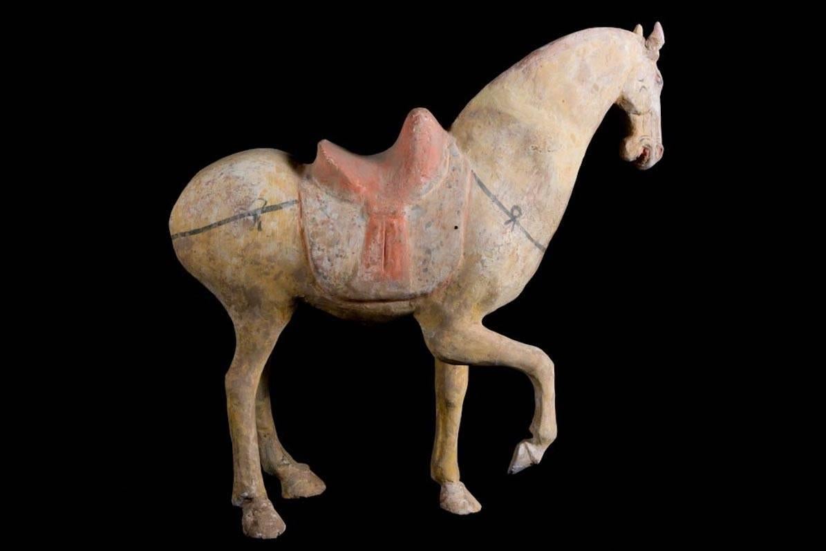 Magnificent Tang Dynasty Prancing Horse, TL Test by ASA Francine Maurer In Excellent Condition For Sale In San Pedro Garza Garcia, Nuevo Leon