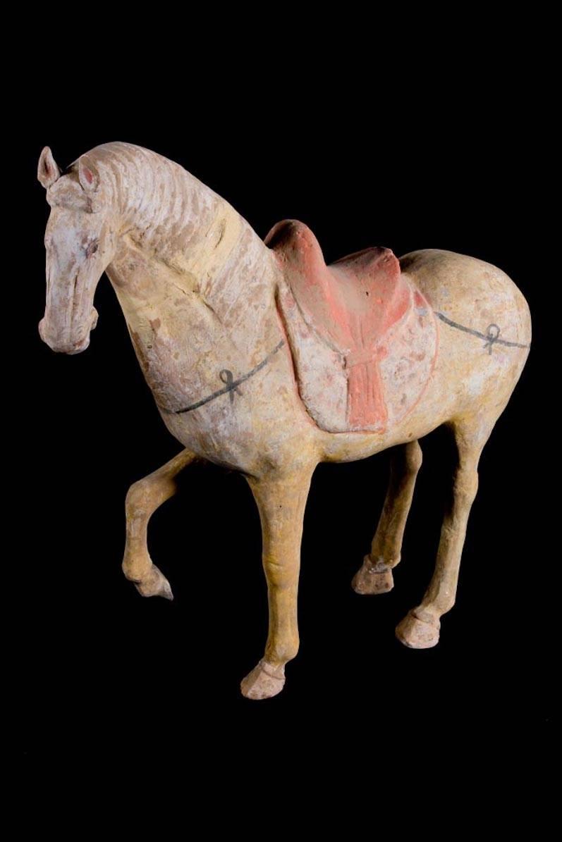 Prächtiges Tang Dynasty Prancing Horse, TL Test von ASA Francine Maurer (Terrakotta) im Angebot