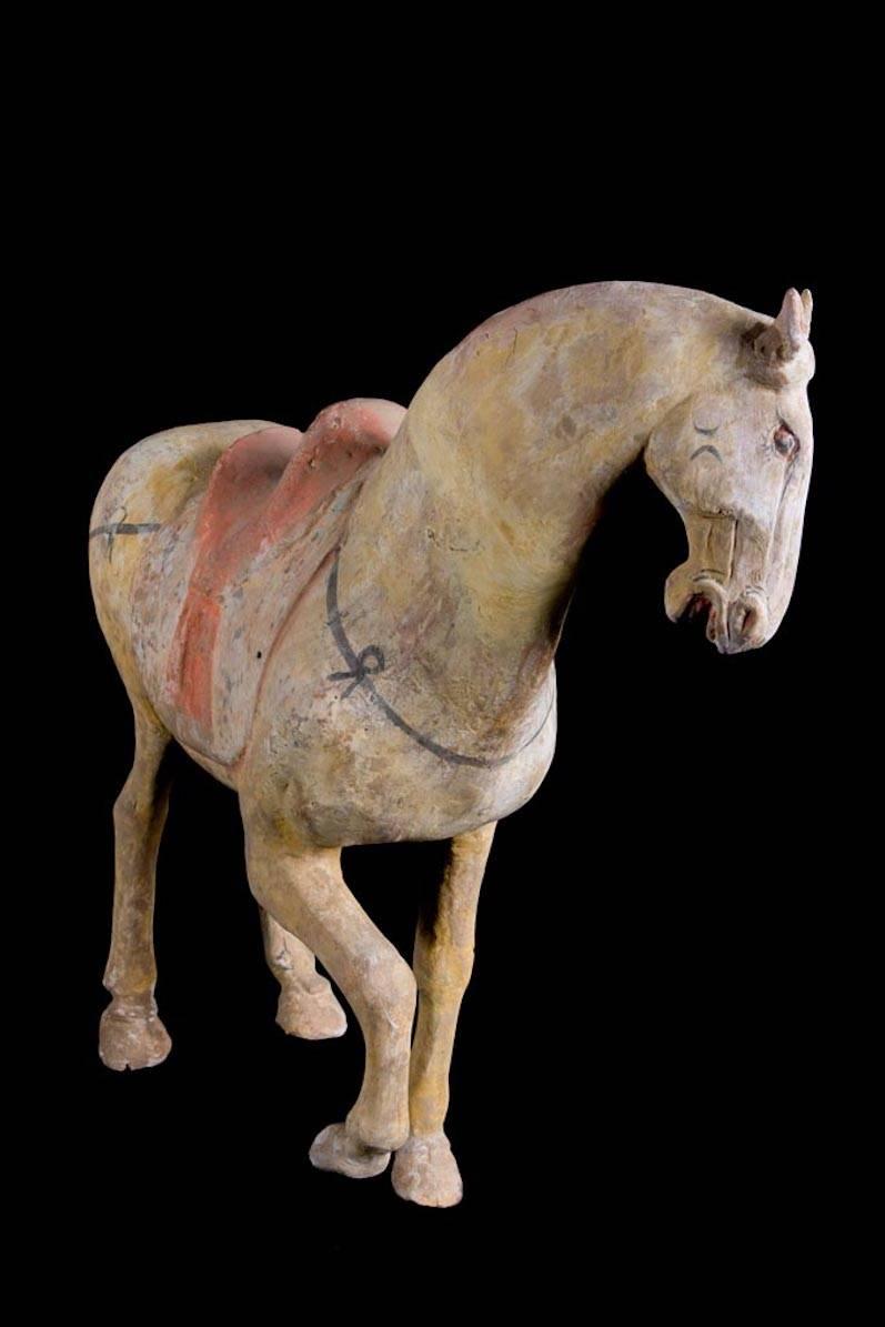 Terracotta Magnificent Tang Dynasty Prancing Horse, TL Test by ASA Francine Maurer For Sale