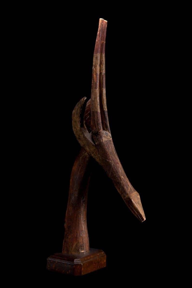 A beautiful stylized antelope head used as headdress on ceremonial dances. Retains the old painting and patina over the carved wood. Traded by a professor working in Africa in the 1950’s and then in a French private collection.

Burkina Faso,