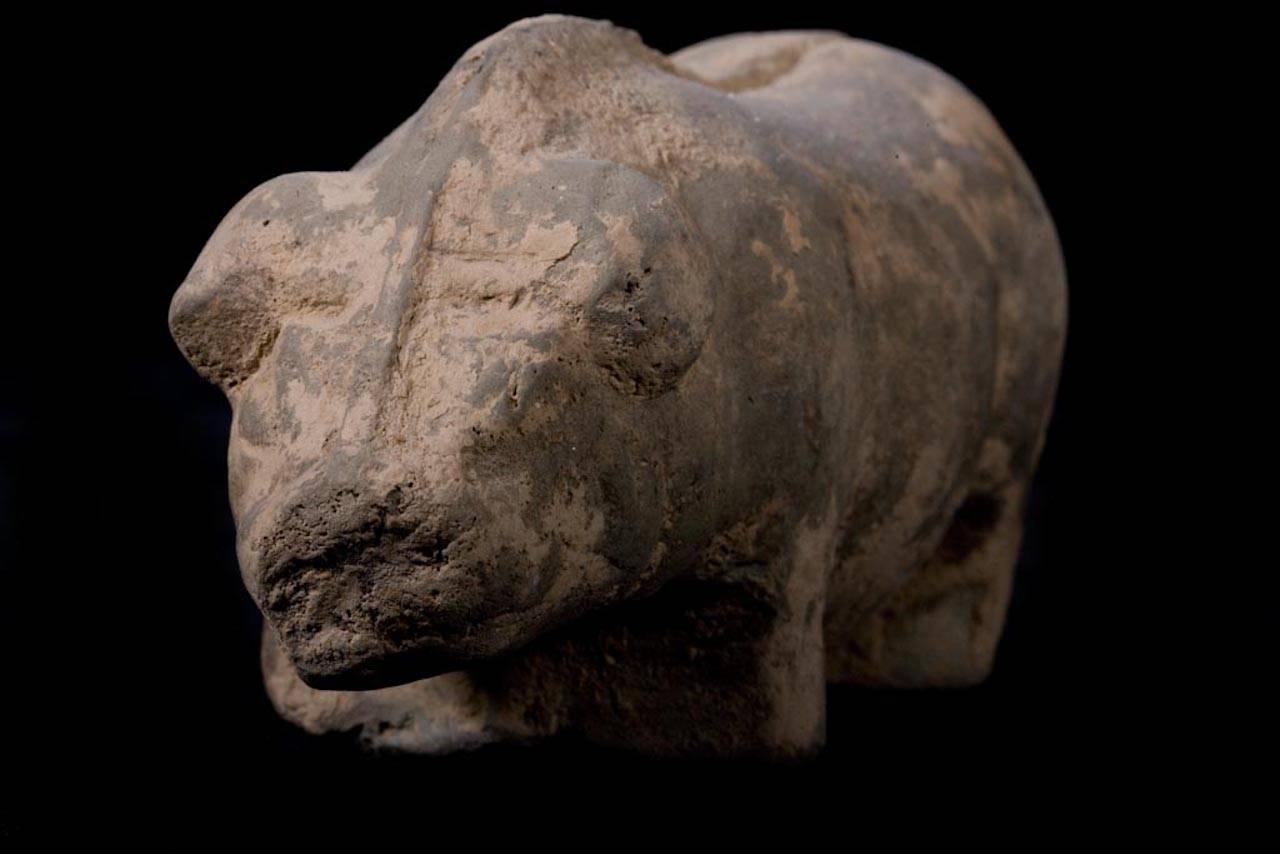 Terracotta Han Dynasty Farm with Pig, China, 200 BC 1