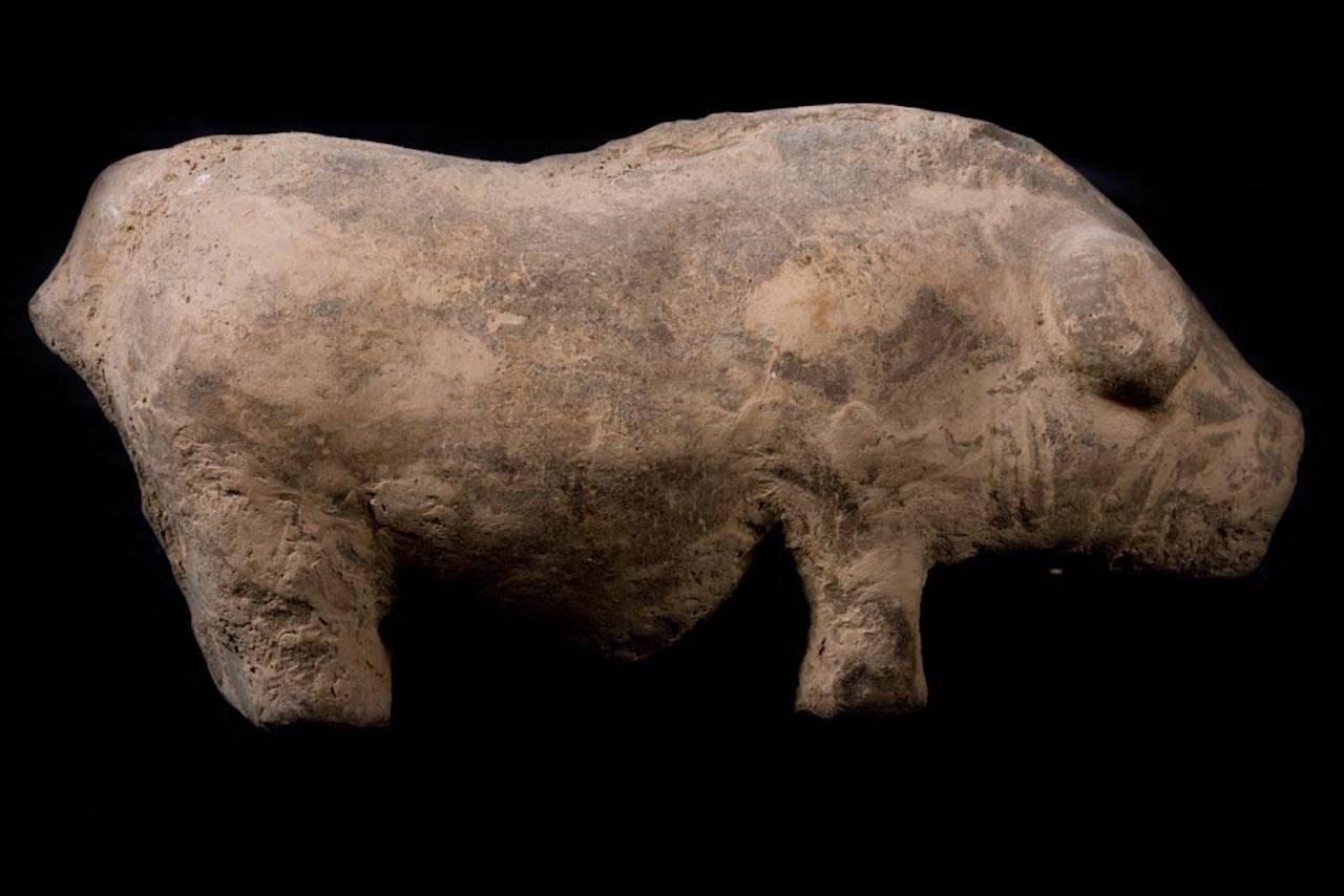 Terracotta Han Dynasty Farm with Pig, China, 200 BC 2