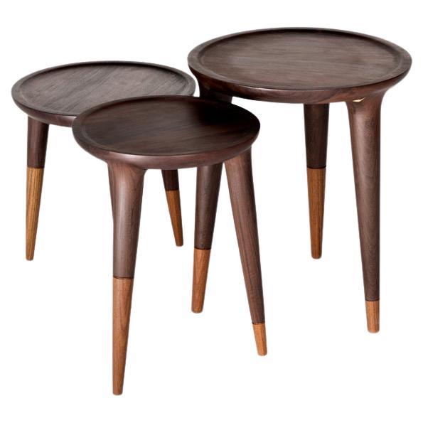Minimalist Modern Side Tables Set in Tropical Hardwood For Sale at