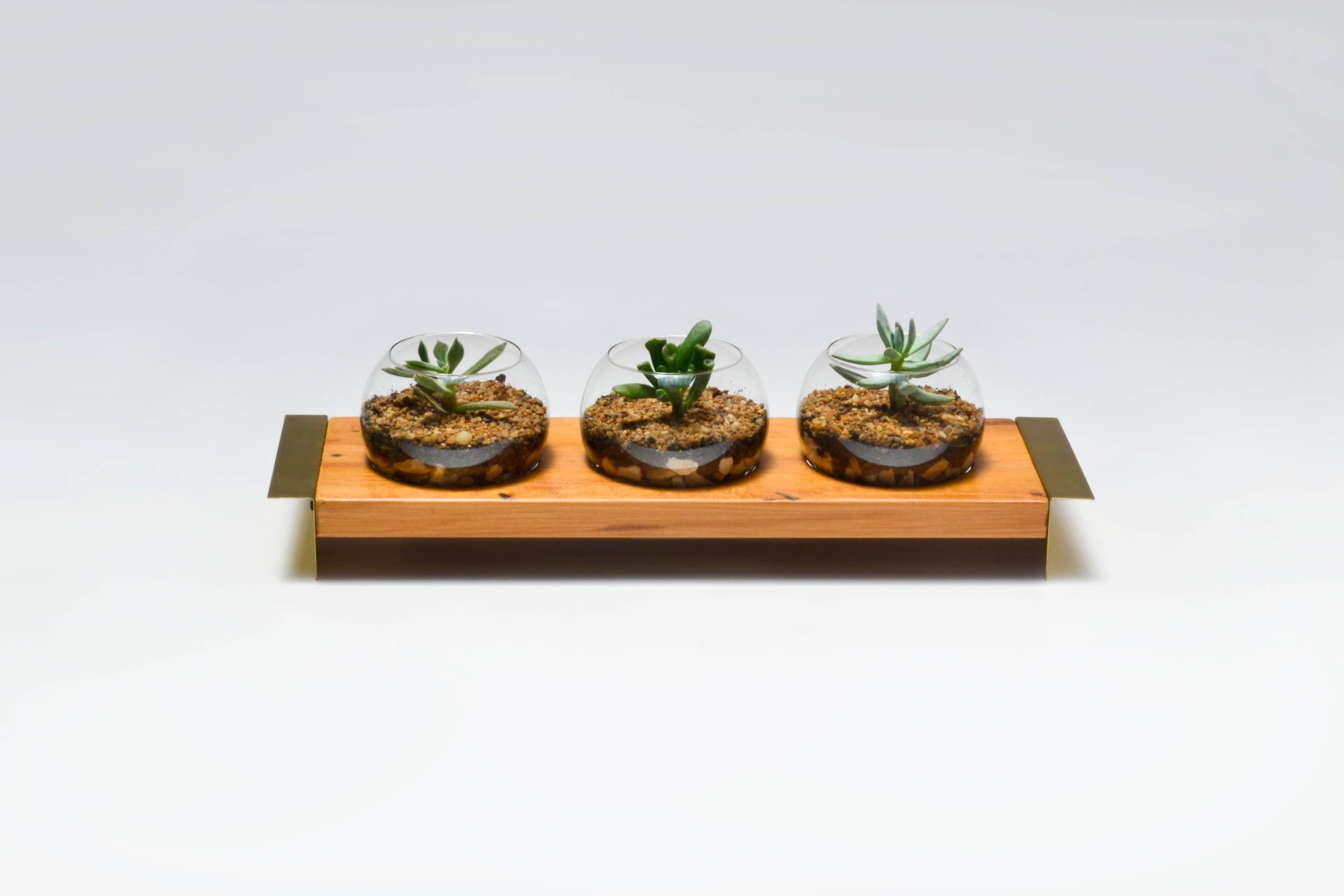 Plié is a wood, brass and glass center table terrarium. 

An opportunity to bring plants inside your home. Made in peroba wood, Plié Terrarium is a decorative support for houseplants, such as aloe plants and cactus.

Item shipped without plants.