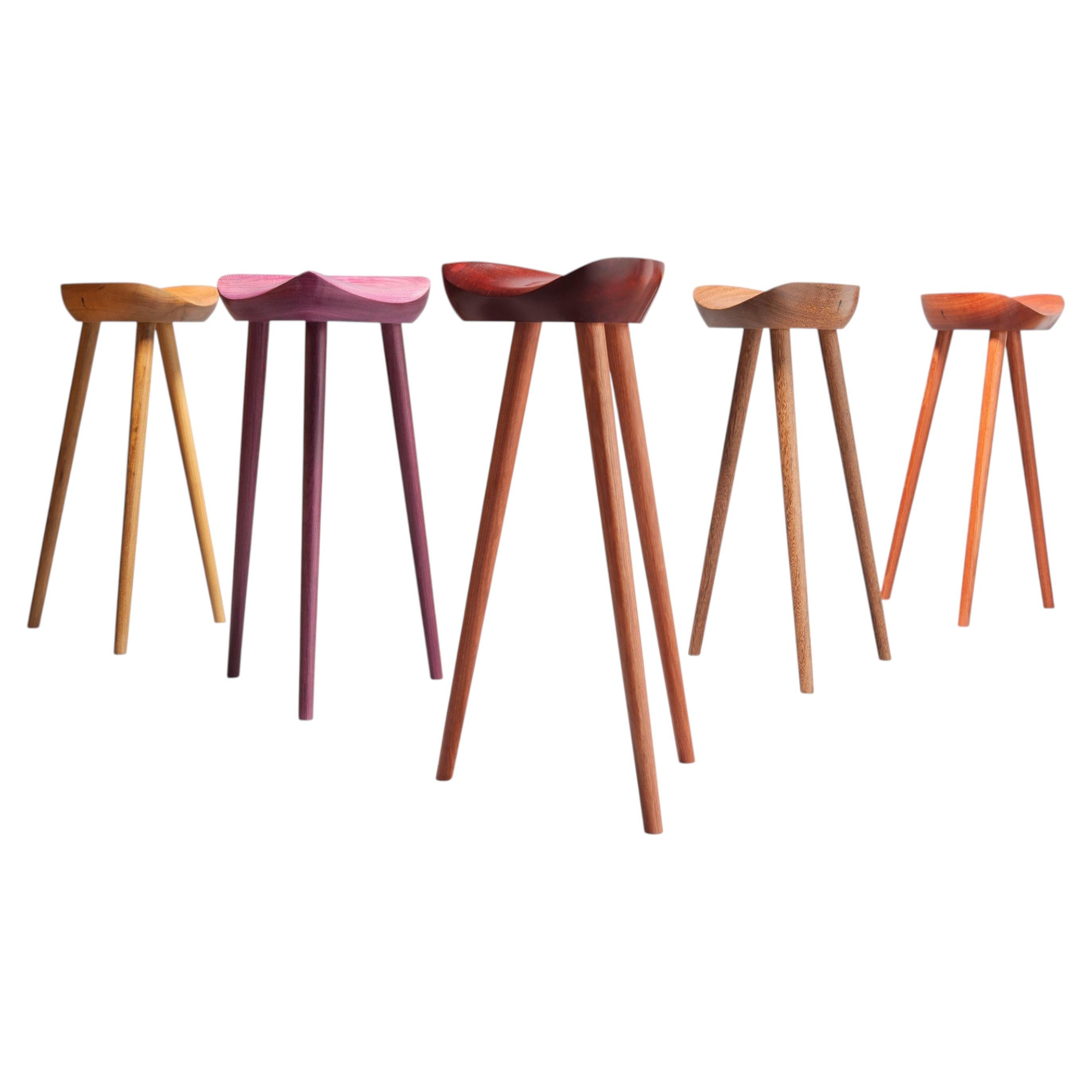 Zeitgenössischer Hocker aus brasilianischem Hartholz im brasilianischen Design von Ricardo Graham Ferreira im Angebot