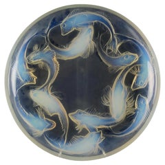 Decorative Objects