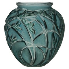 Glass Vases
