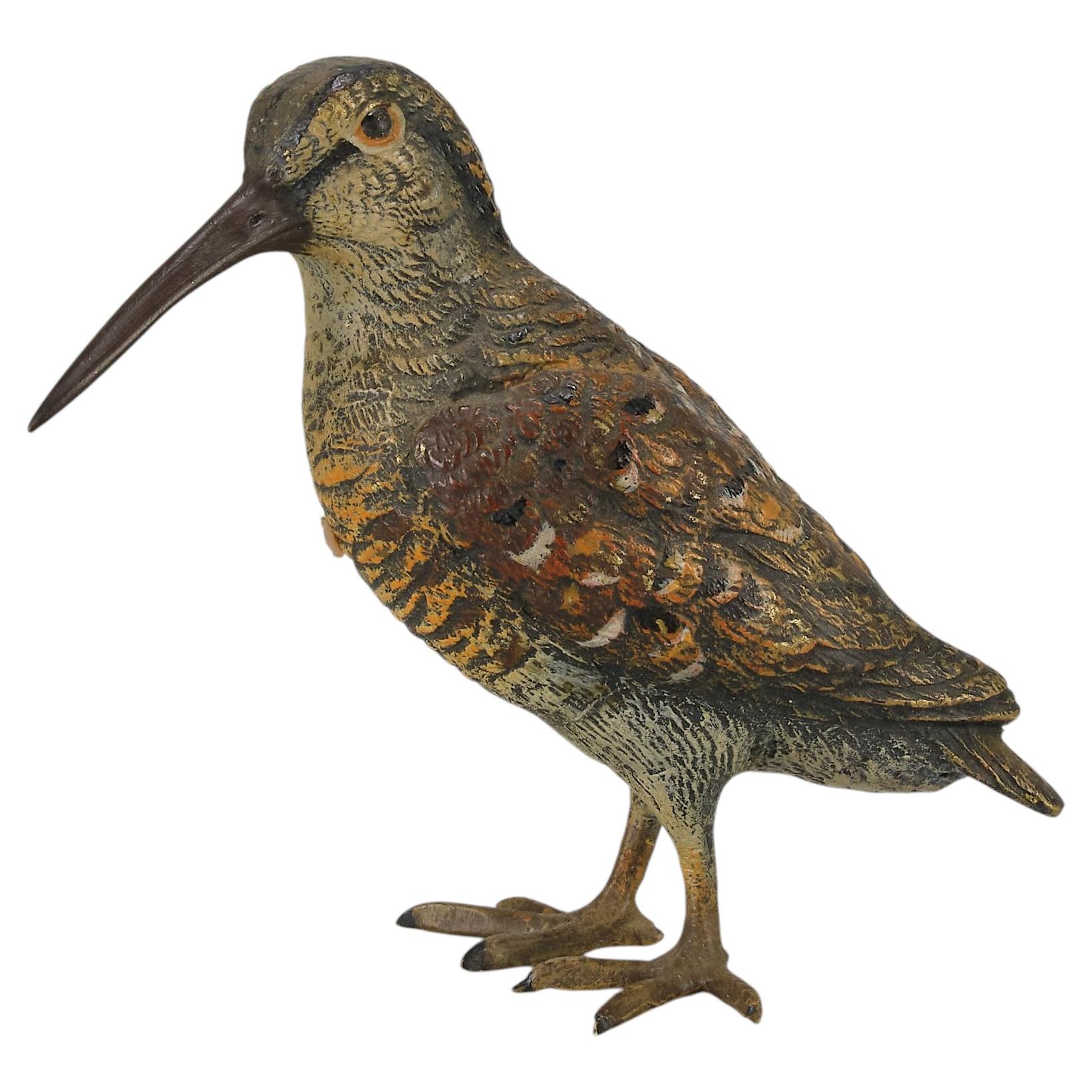 Early 20th Century Cold-Painted Bronze Sculpture "Woodcock" by Franz Bergman For Sale