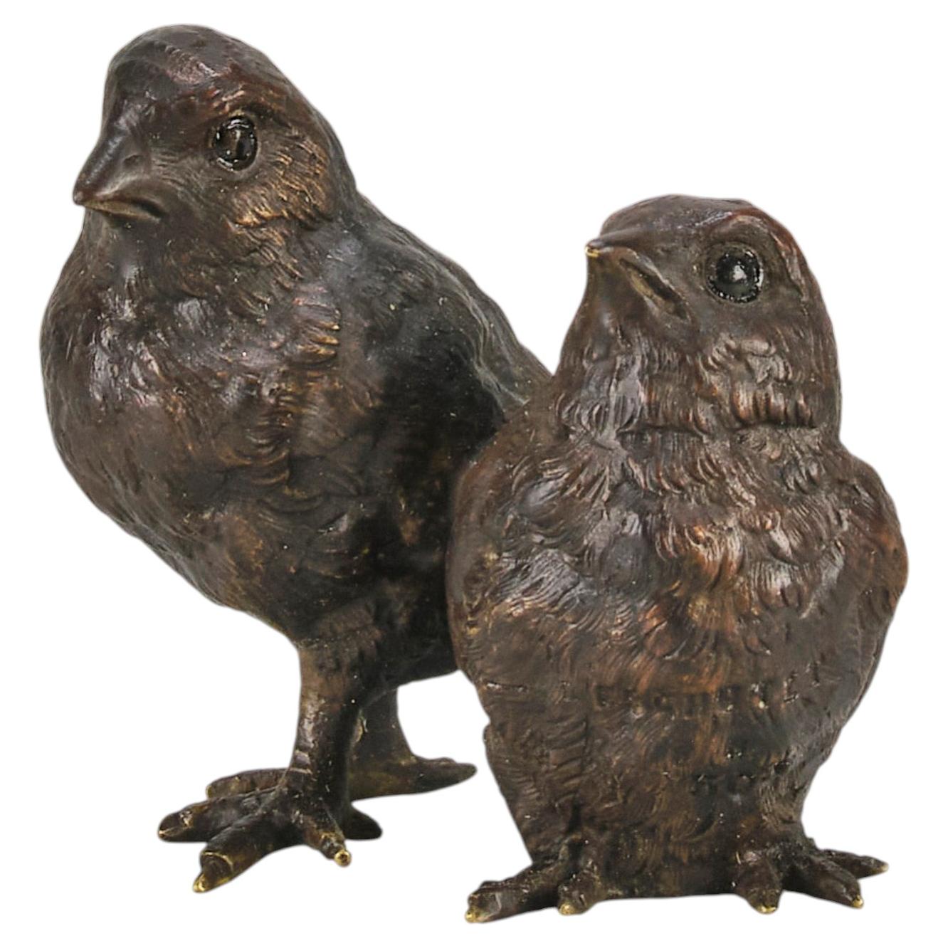Early 20th Century Cold-Painted Vienna Bronze "Pair of Chicks" Circa 1900