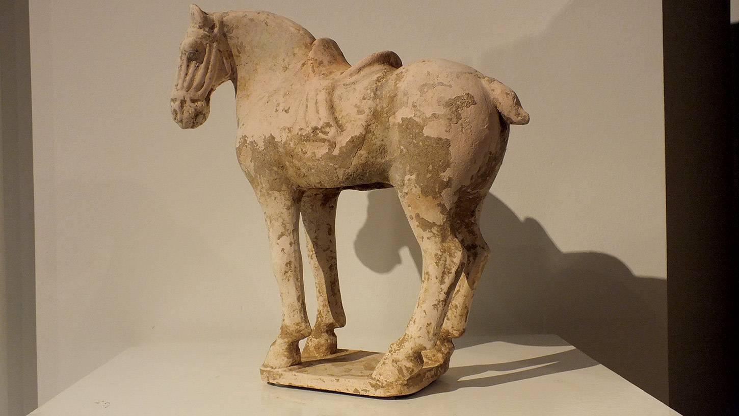 Tang Painted Red Pottery Saddled Horse
