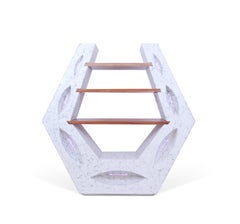 Concrete Bookshelf with Mahogany Shelves and LED Lighting