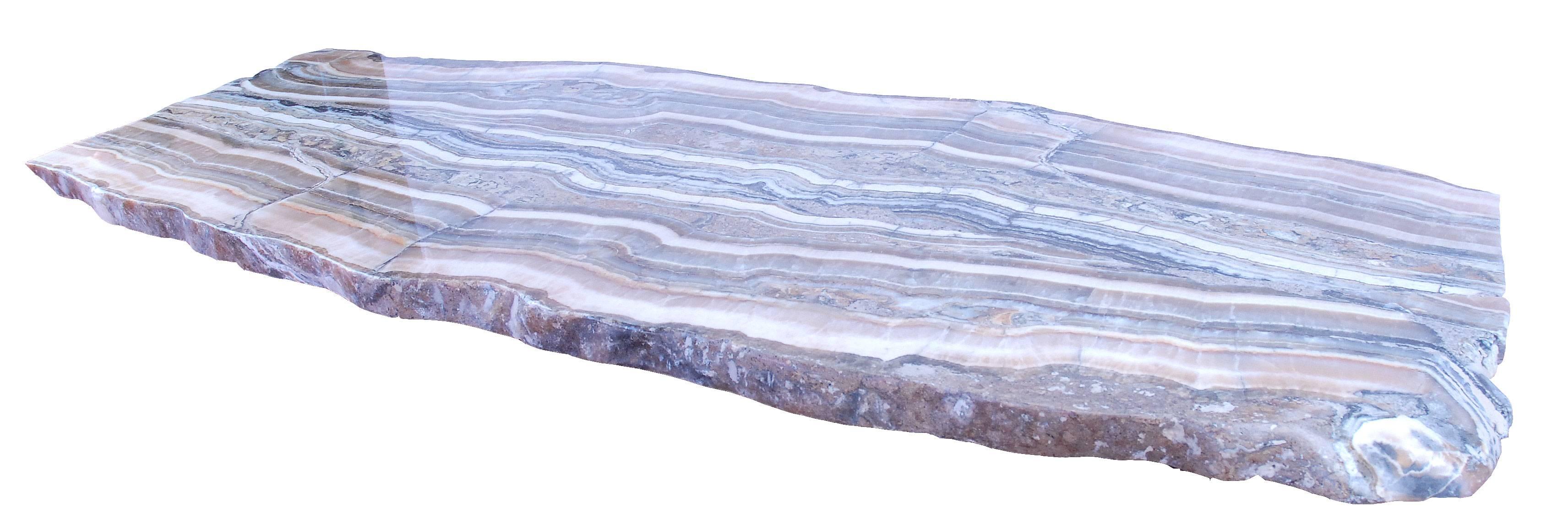 Petrified wood slab 1.65