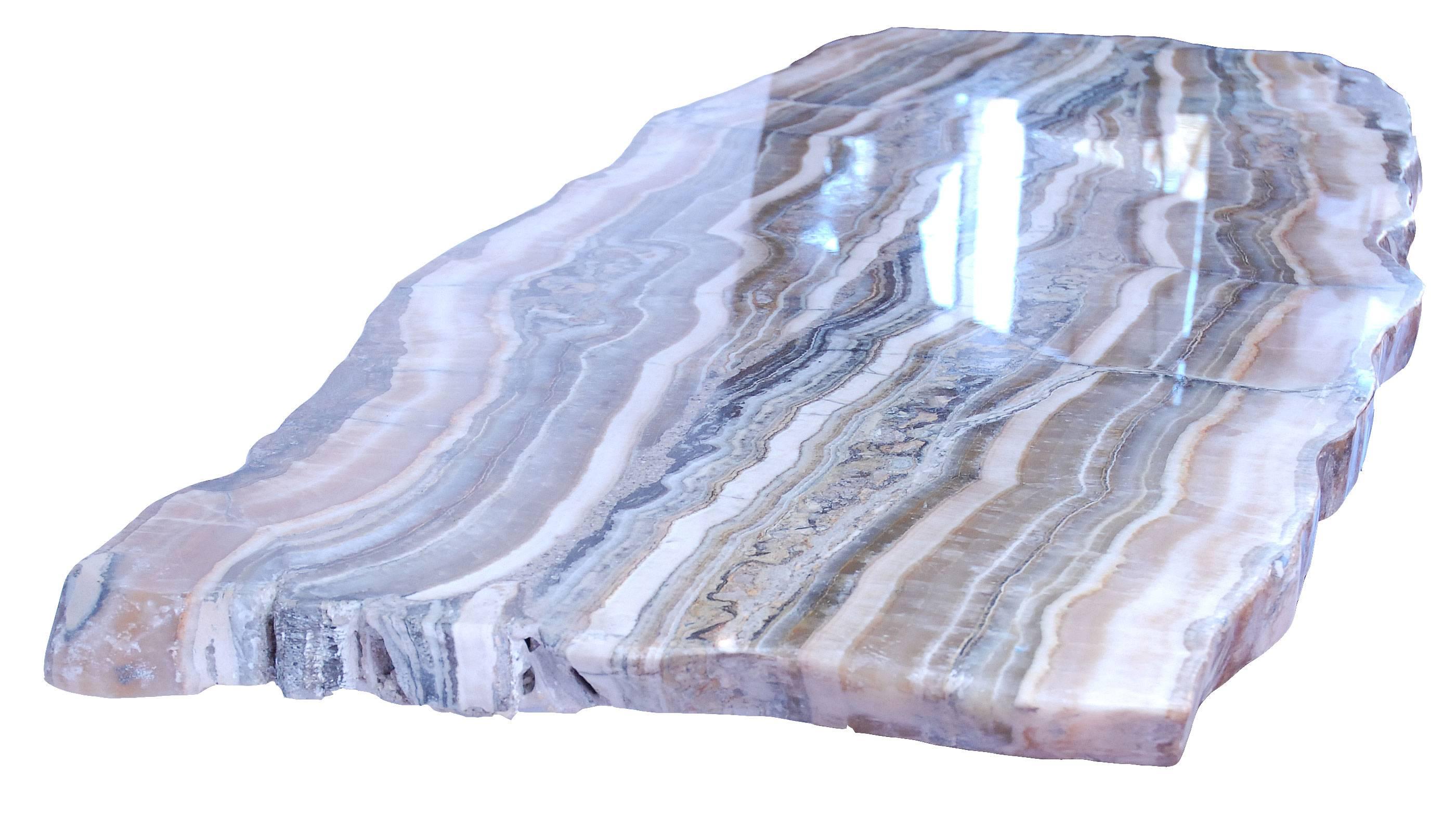 Modern Petrified Wood Slab for Coffee or Console Table