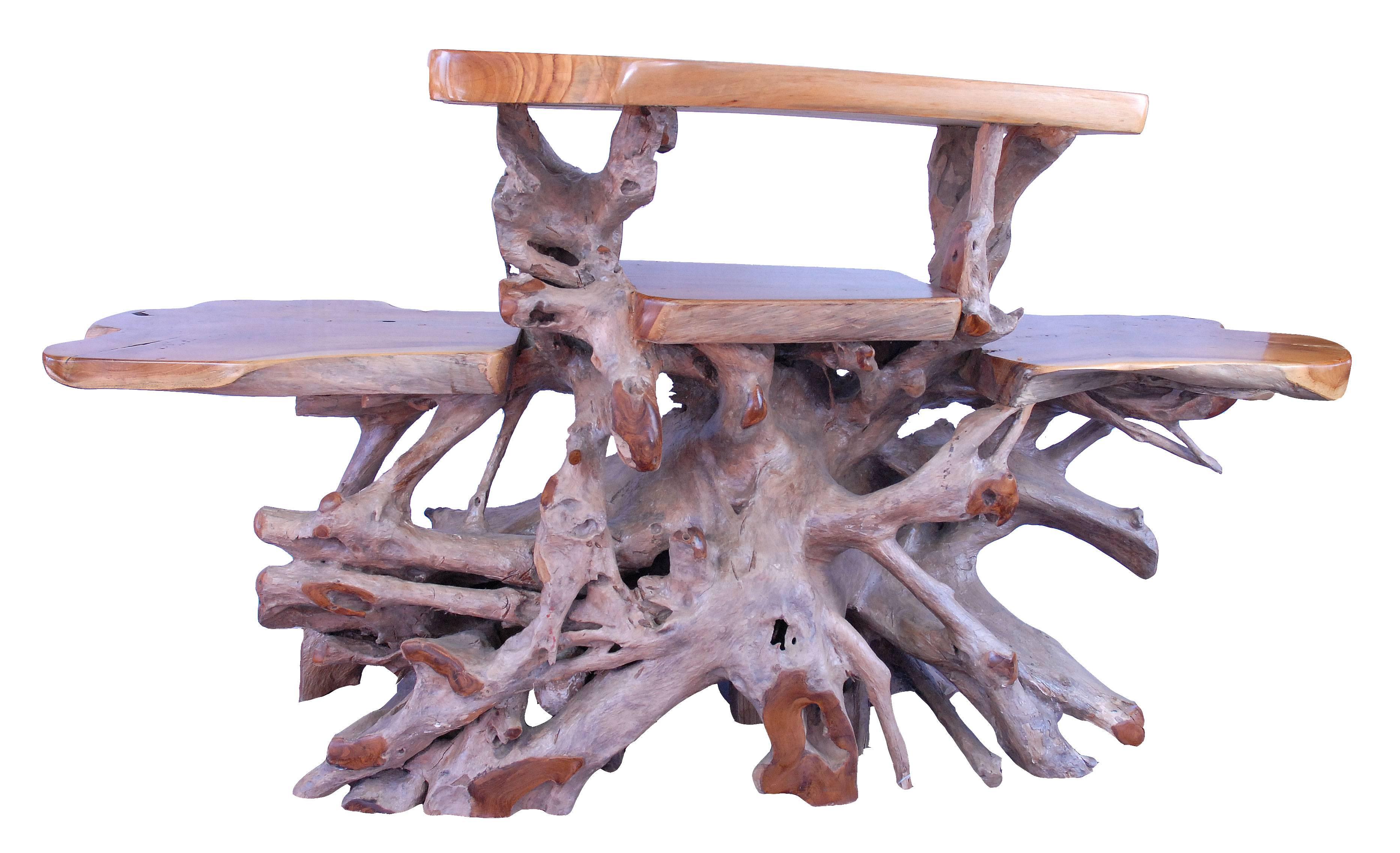 Sustainably harvested teak root table.