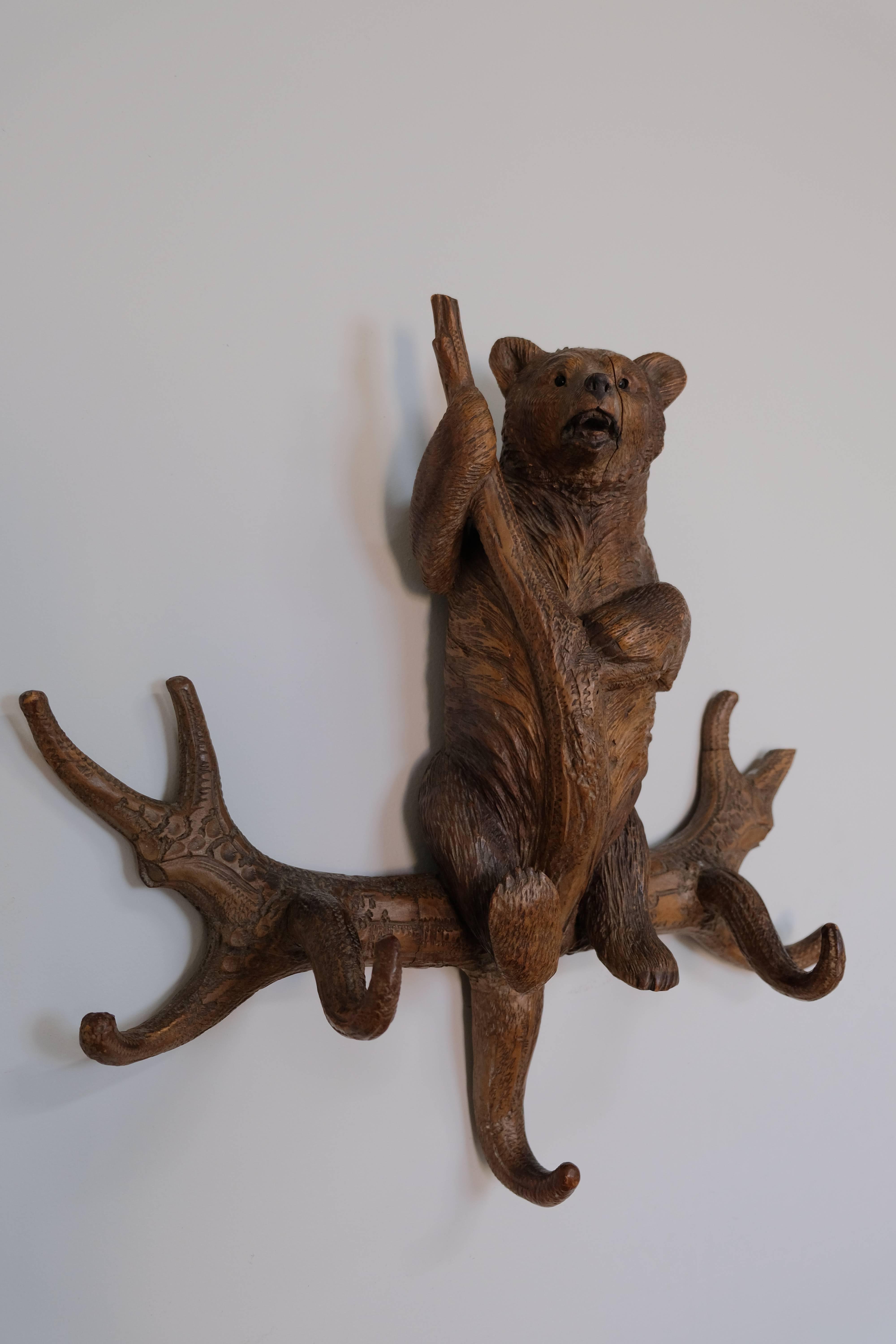 Black Forest coat rack. Carved Bear with three hooks. Lindenwood, late 1800s, Germany.