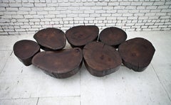 Lynx Constellation Table/Organic Modern Ebonized Wood Coffee Table