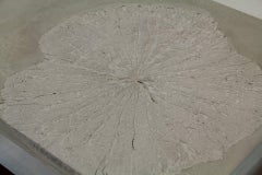 Lotus Leaf or Minimal Modern Concrete Coffee Table