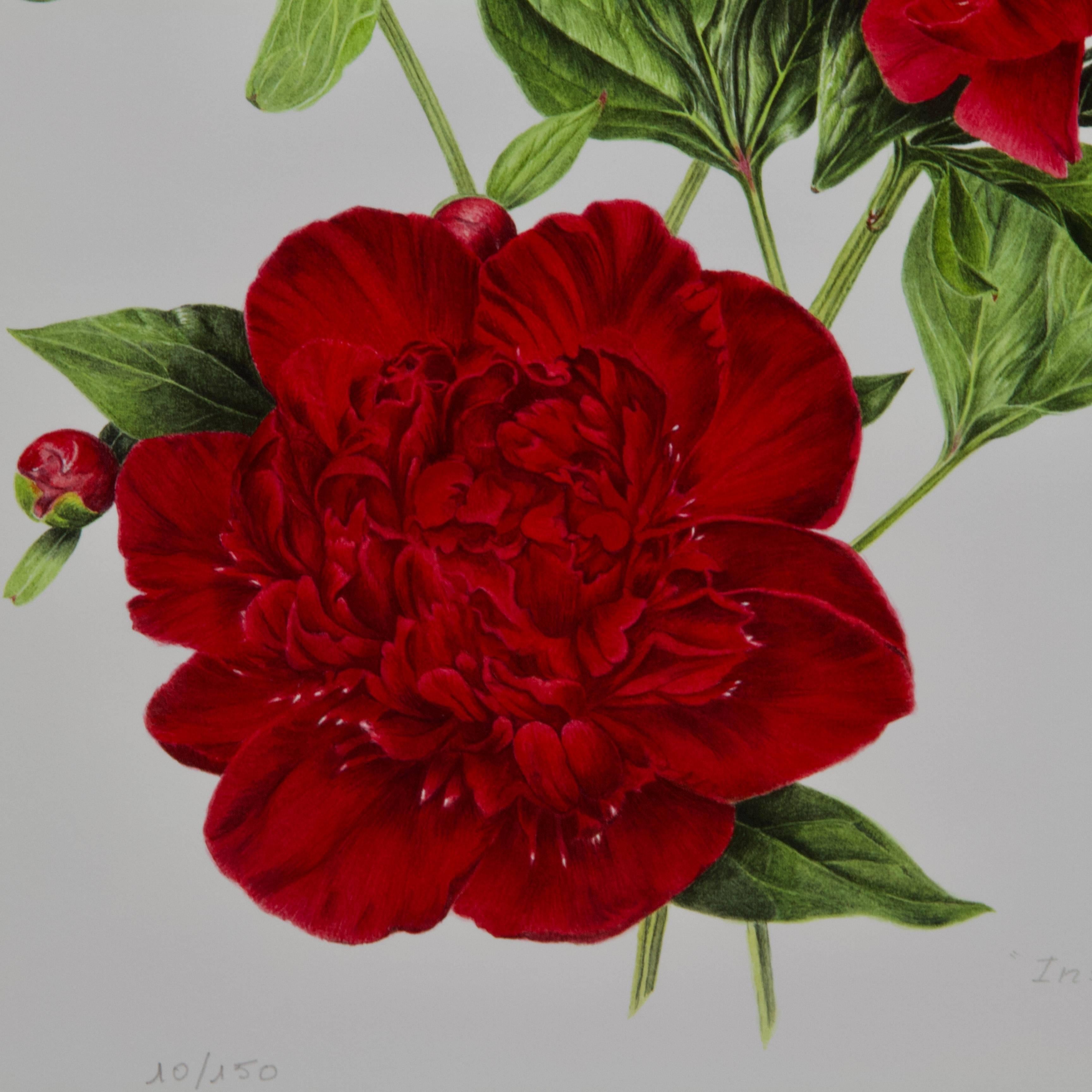 Other Peony Print by Françoise Piquet-Vadon for Conservatory of Peony France For Sale