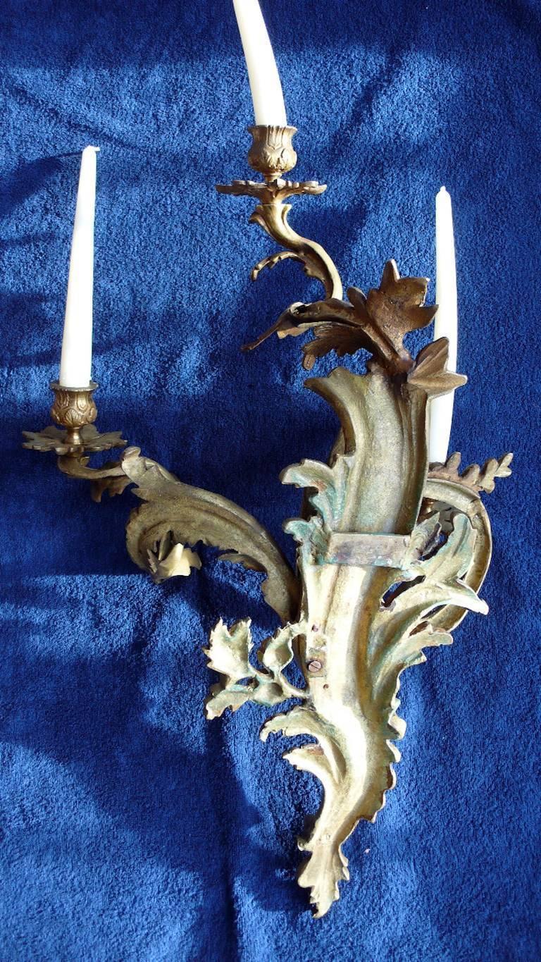 Very Rare Trio of Gilded Bronze Louis XV Italian Sconces, 1880s In Good Condition For Sale In Budapest, HU