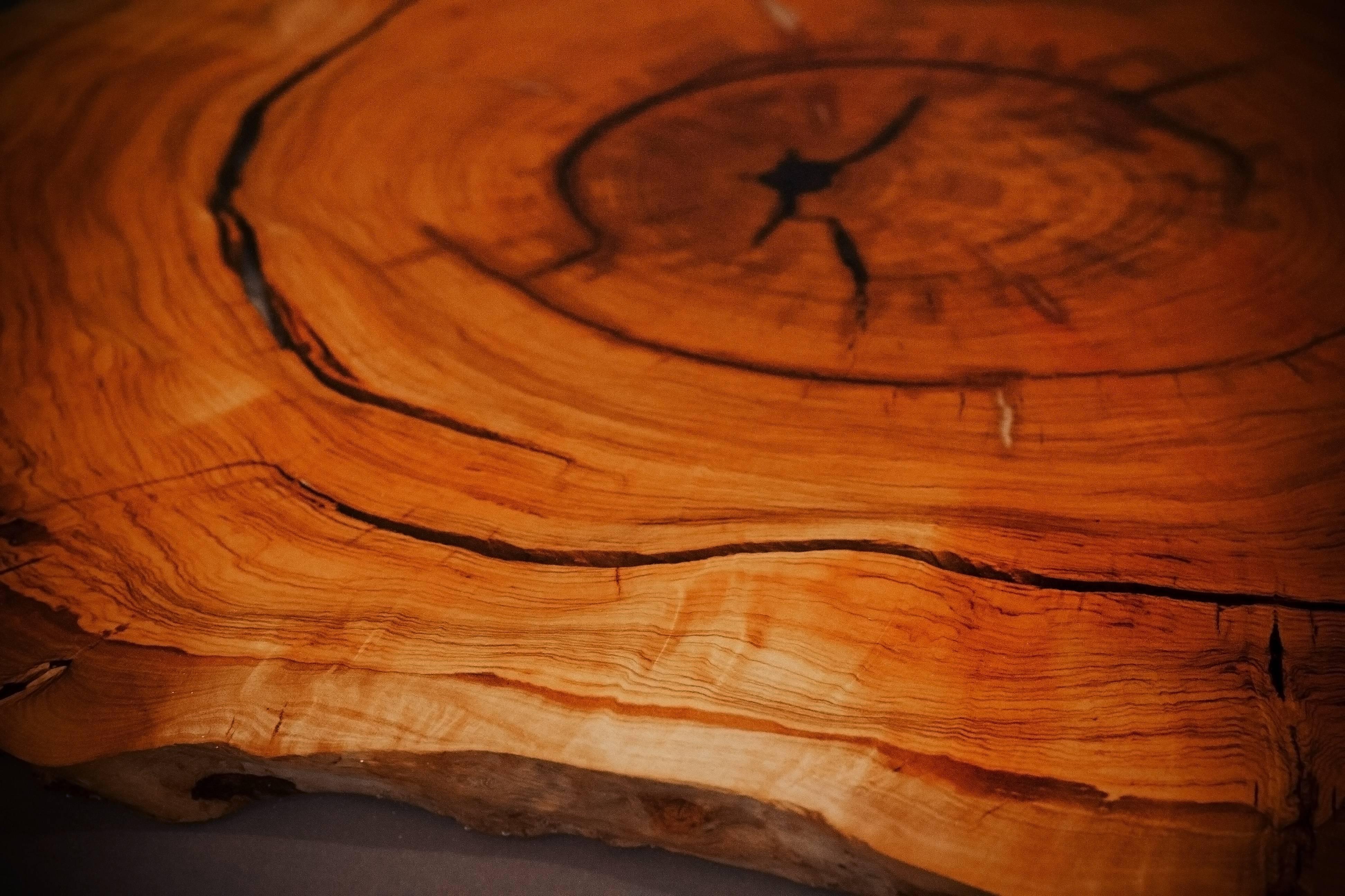 Modern Contemporary Epoxy Resin Oval Coffee Table with a Slice of Olive Tree Trunk For Sale