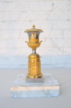Pair of Charles X Silvered and Ormolu Cassolettes
