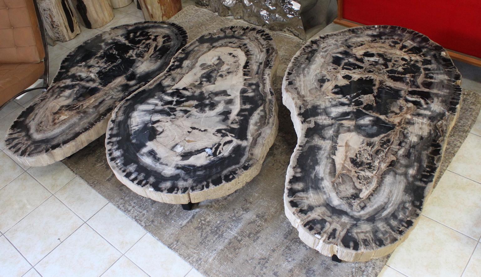 Petrified wood coffee table. Petrified wood of 25 million years.
1 last model available.
Total height: 28 cm / W 137 cm / D 85 cm.


   