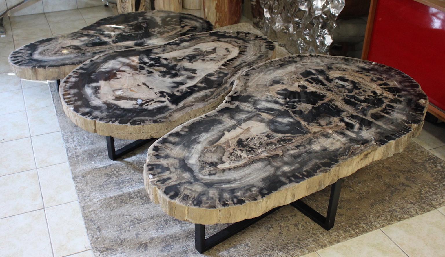 Organic Modern Large Petrified Wood Coffee Table For Sale